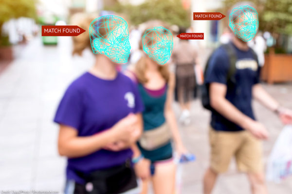 Facial recognition grid