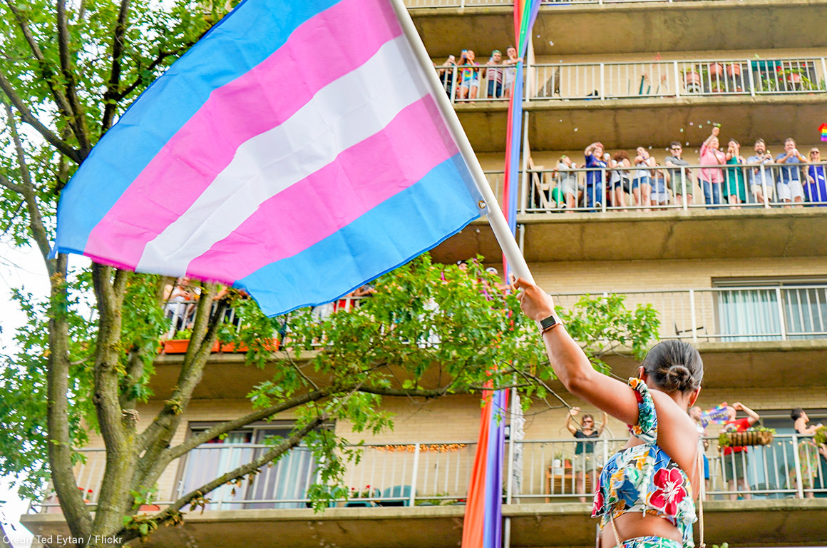 Trans Flag at March